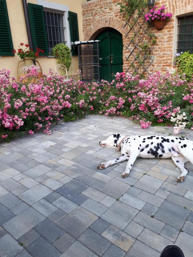 Casa Relax Immersa Nel Verde Della Natura Casalborgone Exterior foto