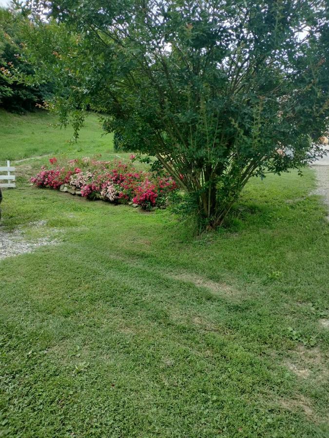 Casa Relax Immersa Nel Verde Della Natura Casalborgone Exterior foto